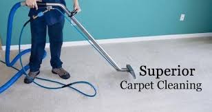 fresh green carpet cleaning reviews