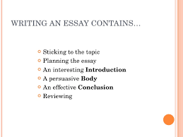 Essay Structure Uol