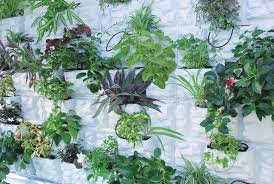grey vertical gardens wall planters