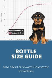 rottle size chart interactive weight