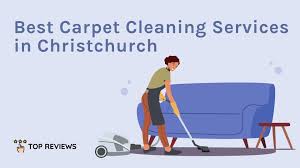 the 7 best carpet cleaning services in