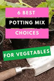 best potting mix for vegetables the 6