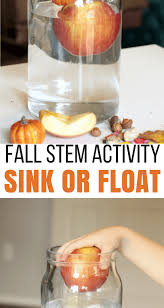 super fun fall sink or float science