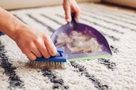 how to clean carpet without vacuum key