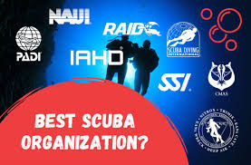 the best dive organization top 9 scuba