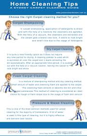 carpet cleaning tips visual ly
