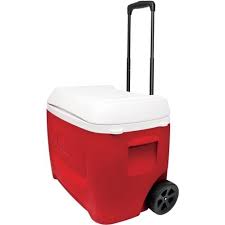 igloo island breeze 60 quart hardsided