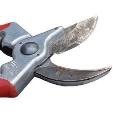 to sharpen pruners