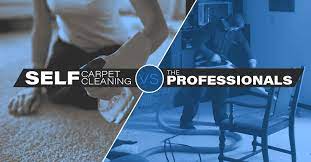 self carpet cleaning vs professional