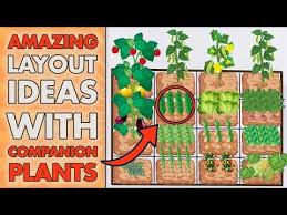 5 Square Foot Gardening Layout Ideas