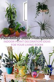 indoor plants decoration ideas off 59