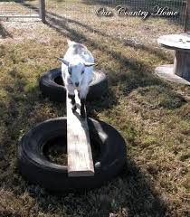 goat toys why you need them diy ideas