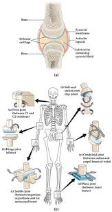 monitoring methods of human body joints