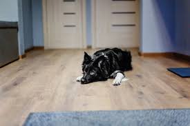 This opens in a new. How To Remove Dog Scratches From Floor And Furniture Jay S Moves