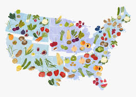 Users can purchase additional maps to help navigate other parts of. Fruit Map Of Us Hd Png Download Kindpng