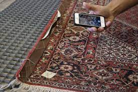 1 for rug cleaning in sarasota since 1920