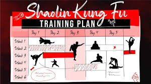 mat shaolin kung fu basics program