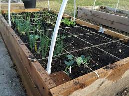 Square Foot Gardening Wikipedia