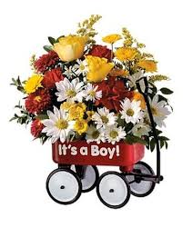 Ftd flowers for new baby boy. New Baby Flowers Delivery Hammond In Hohman Floral