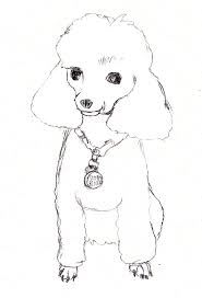 Poodle coloring page to color, print or download. Pin On Drawing And Painting