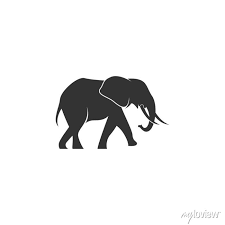 Elephant Icon Logo Design Ilration