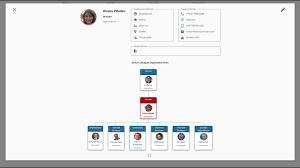 Steegle People For G Suite Organizational Chart And Directory Feature Demonstration