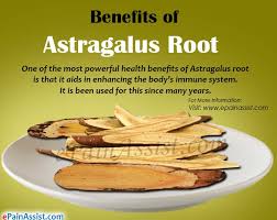 Image result for Astragalus