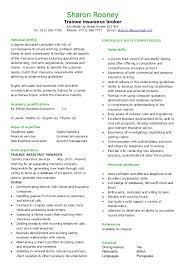 Financial CV template  Business administration  CV templates  accountant   financial jobs