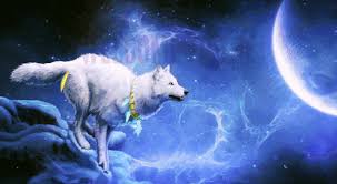 full moon festival wolf pack