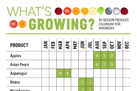 Whats Growing In Arkansas Produce Calendar Infographic