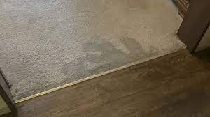 water out of carpet after a flood