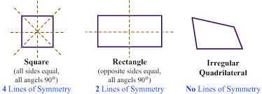 Lines Of Symmetry Lesson Turtle Diary