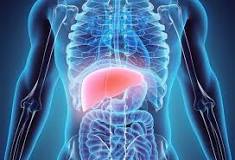 how-do-you-know-if-your-liver-is-detoxing