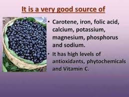 Image result for free pictures of jamun tree with fruit