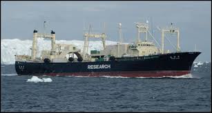 The Japanese resume whaling for  scientific purposes   The research  subject  The resulting paper    SFU Digitized Collections