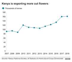 Brexit Will It Affect The Kenyan Flower Trade Bbc News