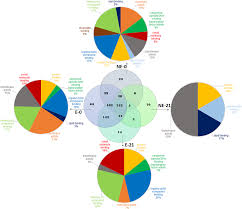 Venn Diagram And Pie Charts Displaying The Numbers And
