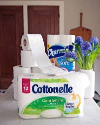 The Best Toilet Paper For Poor Pipes Or