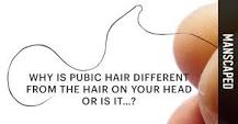 is-pubic-hair-the-same-as-head-hair