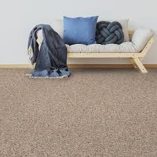 alderbrook plush carpet empire today