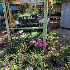 Nurseries Gardening Near Ga