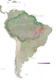 Map See How Much Of The Amazon Forest Is Burning How It