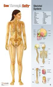 Share your knowledge of this product with other customers. Anatomy Flip Chart Set Clinical Charts And Supplies