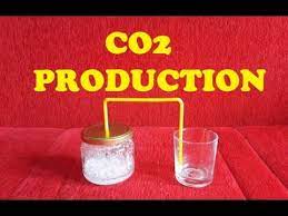co2 science experiment