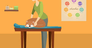 Reiki For Dogs 5 Techniques You Can Do At Home