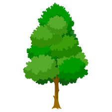 free tree clip art images iloon