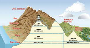 las ocho regiones naturales del perú