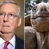 Mitch mcconnell doesn't have a jovial appearance — the new york times describes the senate minority leader as dour and jowly. the meme reached its natural conclusion on friday, when a user uploaded the mcconnell footage set to taylor swift's i knew you were trouble, punctuated by. Https Encrypted Tbn0 Gstatic Com Images Q Tbn And9gct0t040dobxijama7rjrpq9oqmplvdpgkwb5krhzu Xjevjptin Usqp Cau