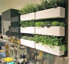 Diy Indoor Herb Garden Ideas