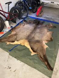 how to tan an elk hide with hair on